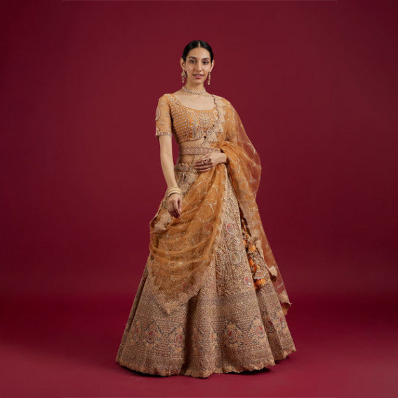 https://megashoppin.com/products/mustard-yellow-radiance-lehenga